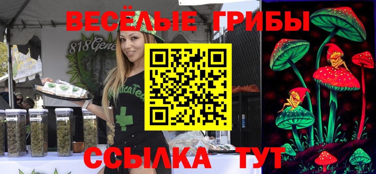 Псилоцибиновые грибы Psilocybine cubensis Свободный