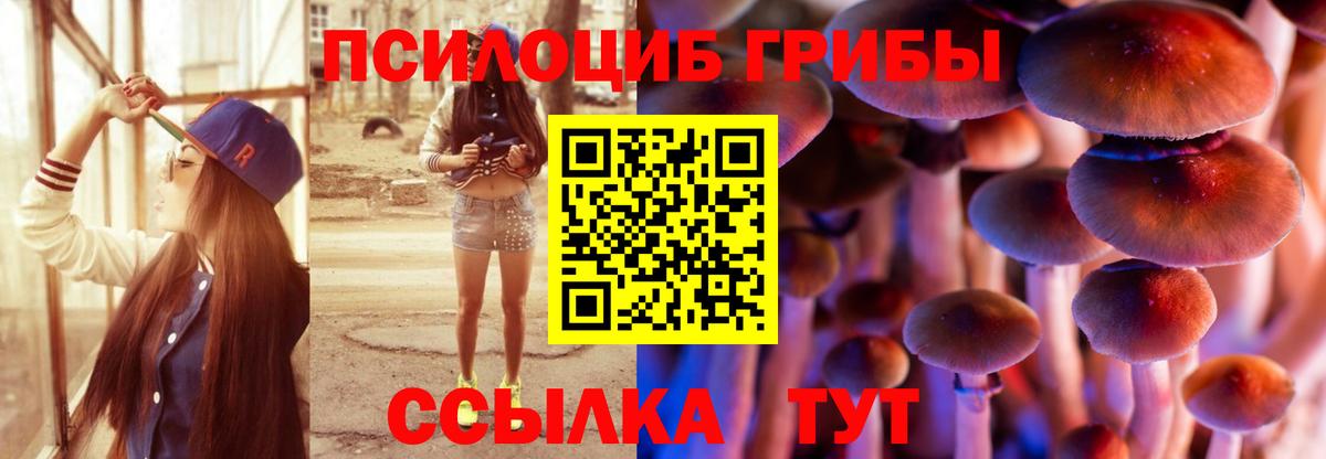 хочу   Галлюциногенные грибы Psilocybine cubensis  Вход с VPN  Свободный  Галлюциногенные грибы мухоморы 